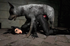 Мультфильм женщина-кошка трахается с собакой